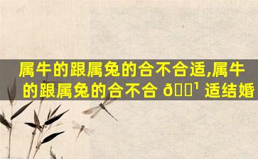 属牛的跟属兔的合不合适,属牛的跟属兔的合不合 🌹 适结婚